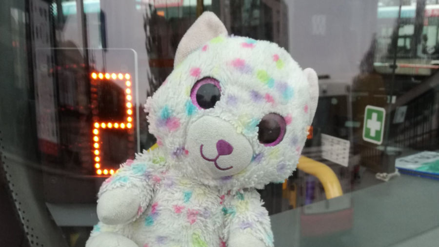 Řidič autobusu hledá dítě, které zapomnělo plyšovou kočičku