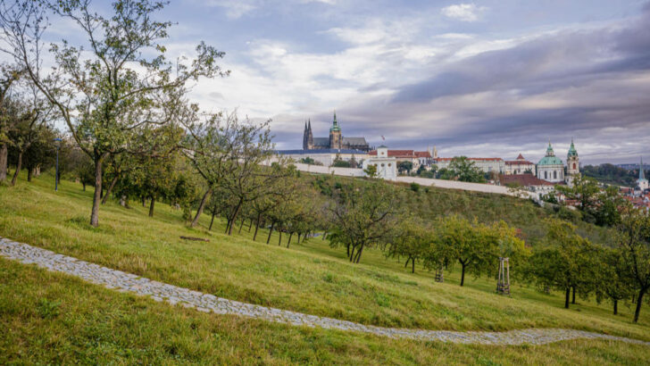 Konec romantiky na Petříně? Pražané se nahoru jen tak nesvezou, začala dlouho plánovaná modernizace